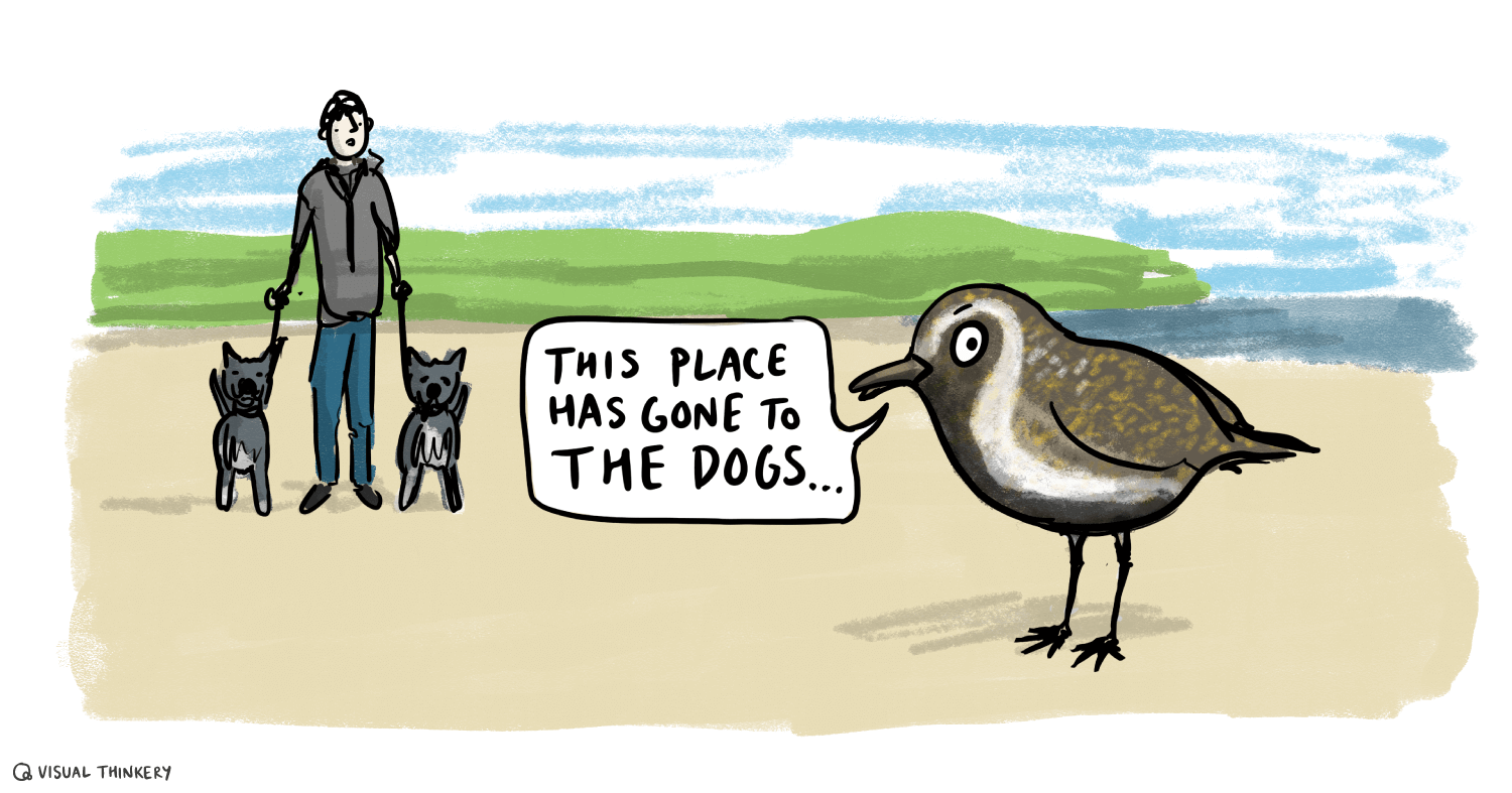 Gone to the dogs