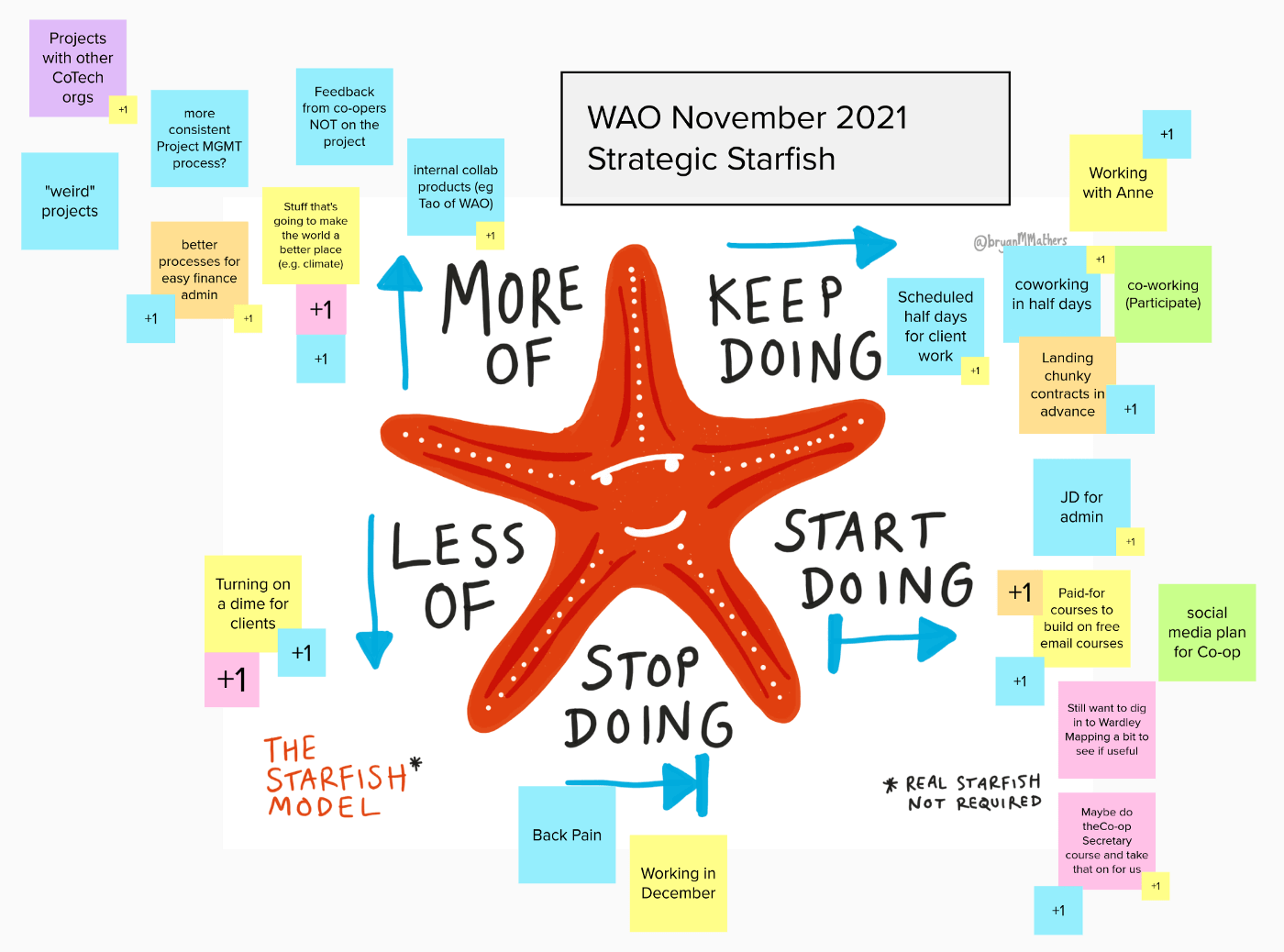 Starfish Model - WAO Strategic retrospective
