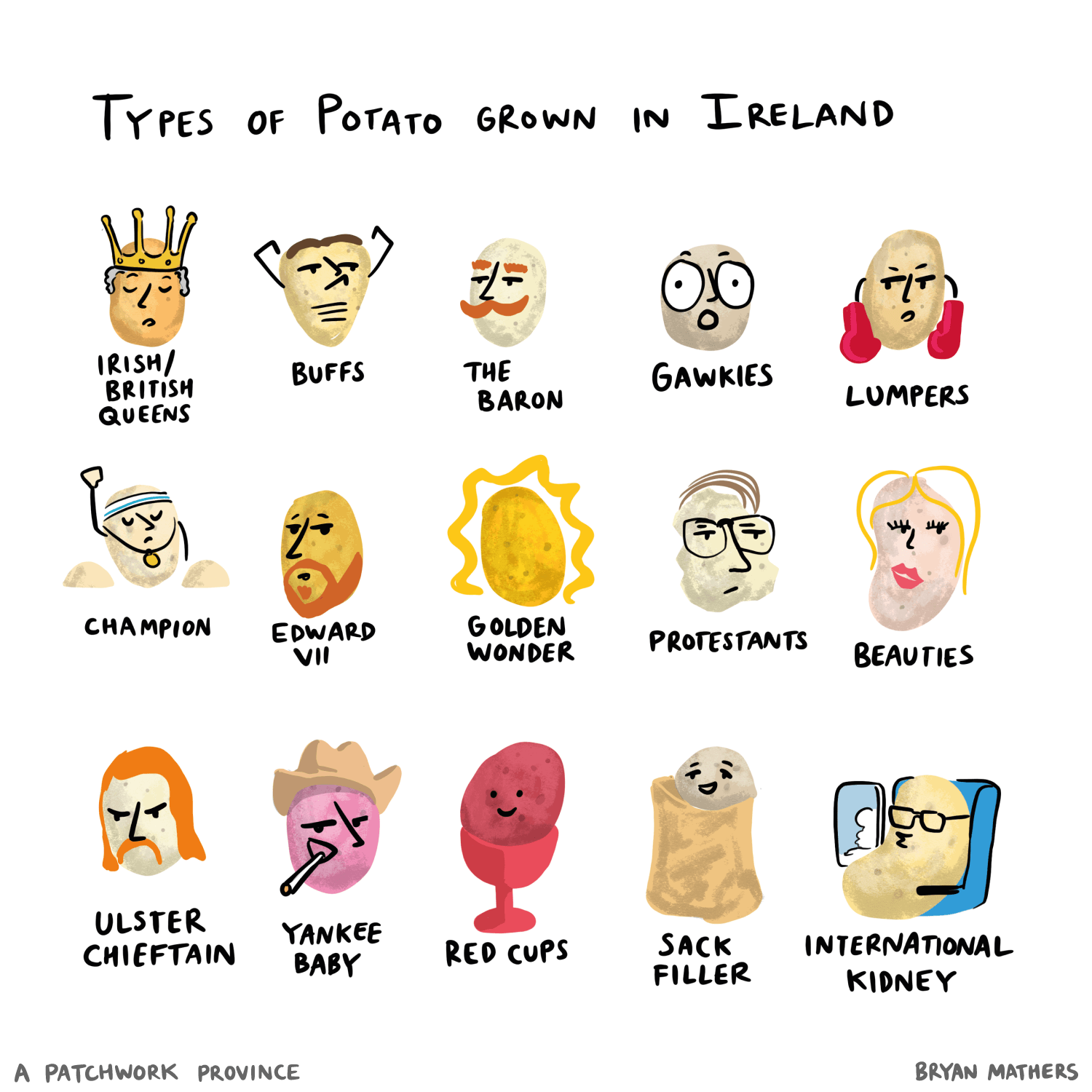 Types of Potato grown in Ireland
