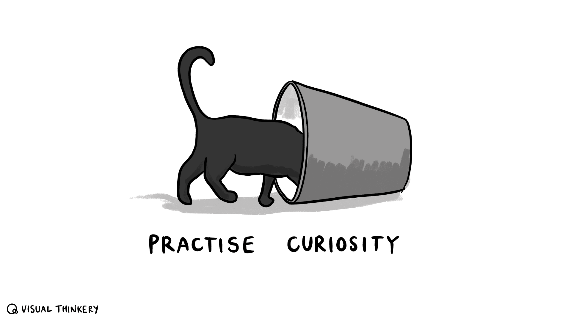 Practise Curiosity