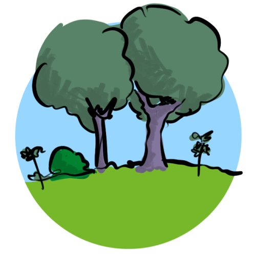 5. Ongoing - nature growing