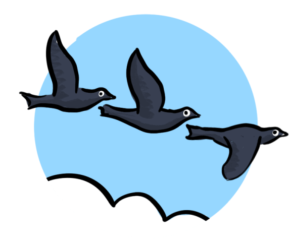 6. Extracted Cues - birds flying