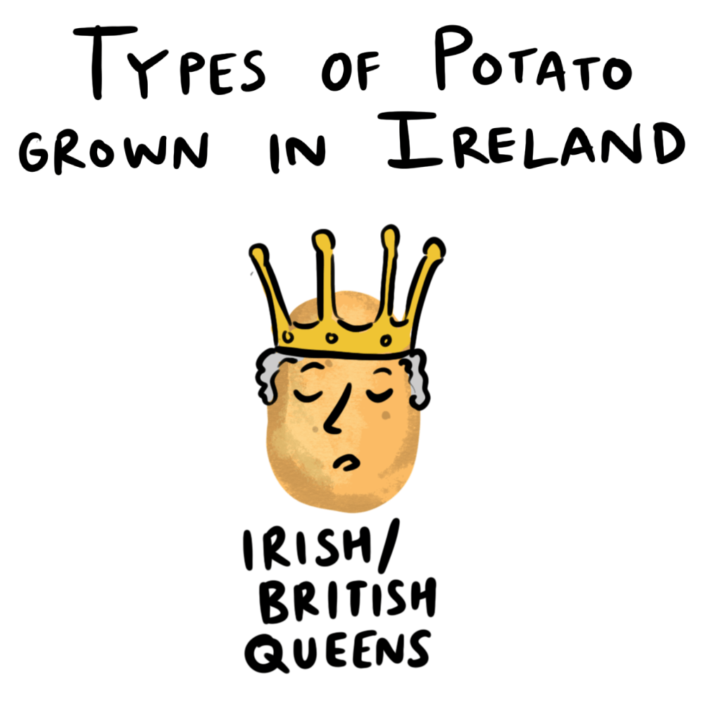 Potatoes Grown in Ireland