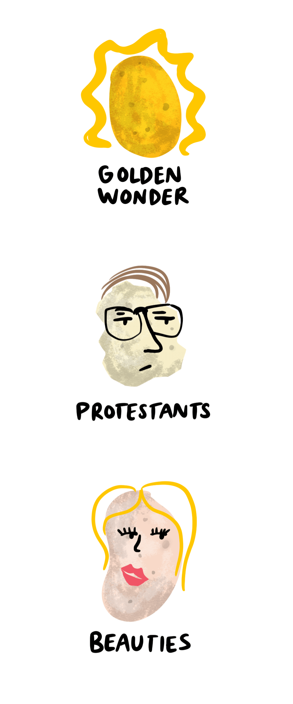 Types of Potato grown in Ireland - 4