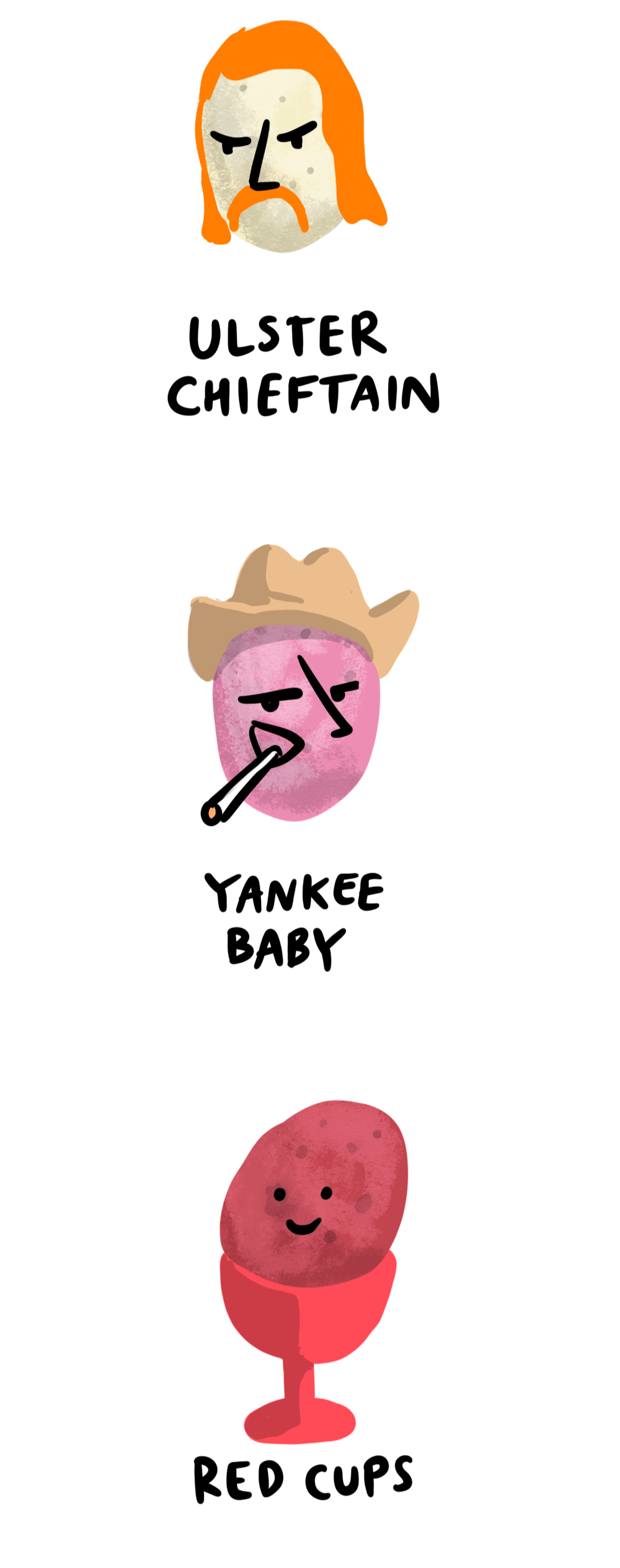 Types of Potato grown in Ireland - 5